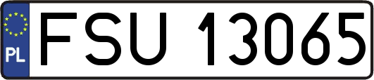 FSU13065