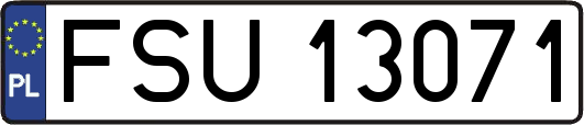 FSU13071