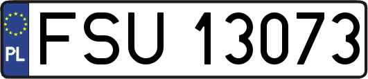 FSU13073