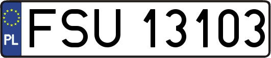 FSU13103