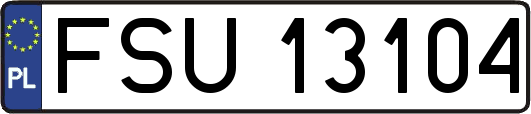 FSU13104