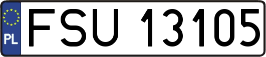 FSU13105