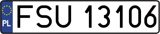 FSU13106