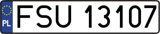 FSU13107