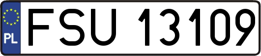 FSU13109