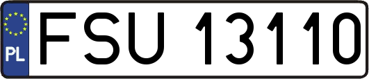 FSU13110