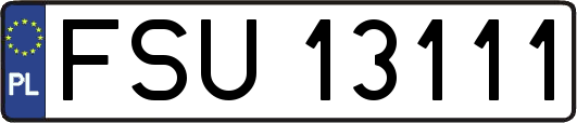 FSU13111