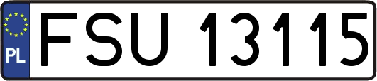 FSU13115
