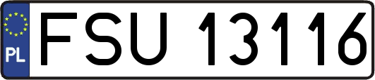 FSU13116