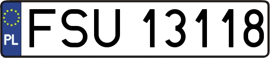FSU13118