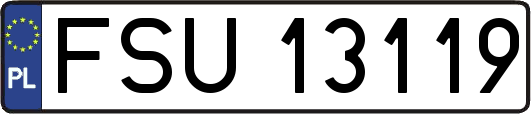FSU13119