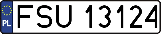 FSU13124