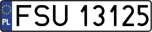 FSU13125