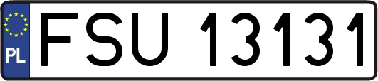 FSU13131