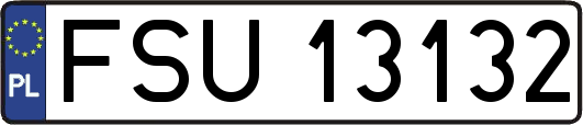 FSU13132