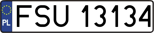 FSU13134