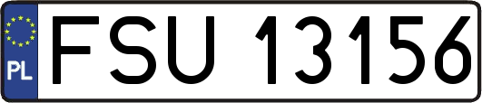 FSU13156