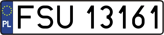 FSU13161