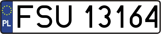 FSU13164