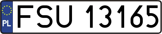 FSU13165