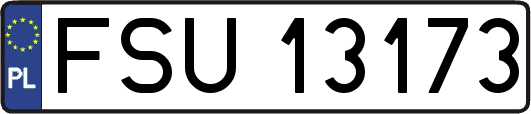 FSU13173