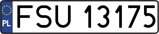 FSU13175