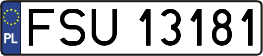FSU13181