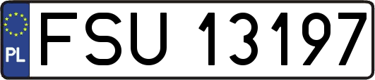 FSU13197