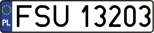 FSU13203