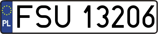 FSU13206