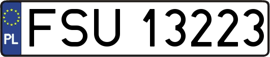 FSU13223