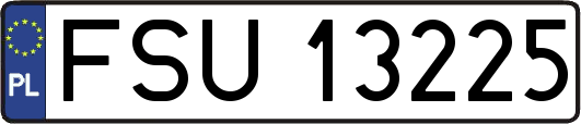 FSU13225