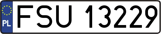 FSU13229