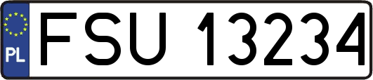 FSU13234