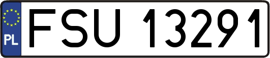 FSU13291