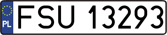FSU13293