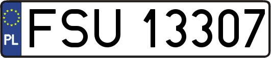 FSU13307