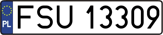 FSU13309