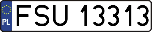 FSU13313