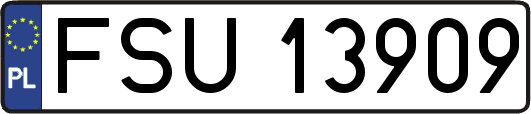 FSU13909