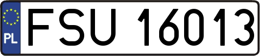 FSU16013