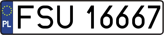 FSU16667