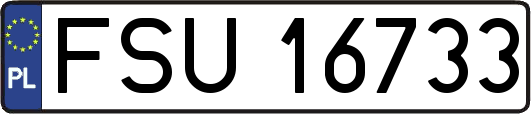 FSU16733