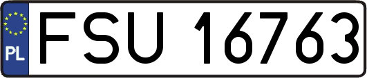 FSU16763