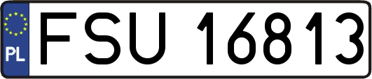FSU16813