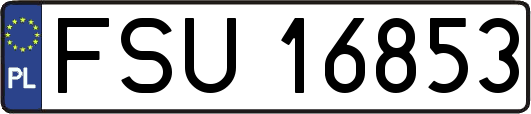 FSU16853