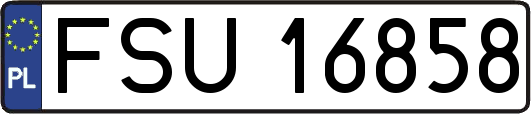 FSU16858