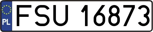 FSU16873