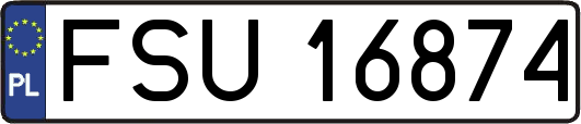 FSU16874