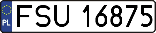 FSU16875